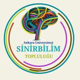 Ankara Üniversitesi Sinirbilim Topluluğu