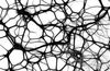 Sinirbilim ve Beyin - 2: Sinir Sisteminde Bulunan Hücrelerin Tipleri