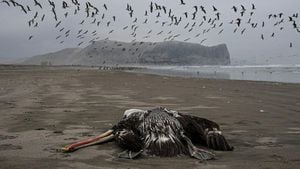 Bird Flu Outbreak Drives Urgent Response Across U.S.