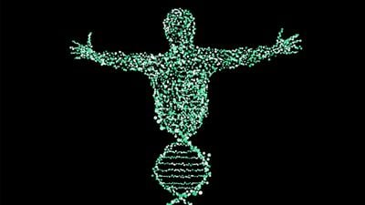 Bencil Gen Teorisi Nedir? Evrimin Gen Merkezci Modeli Bize Neler Öğretir?