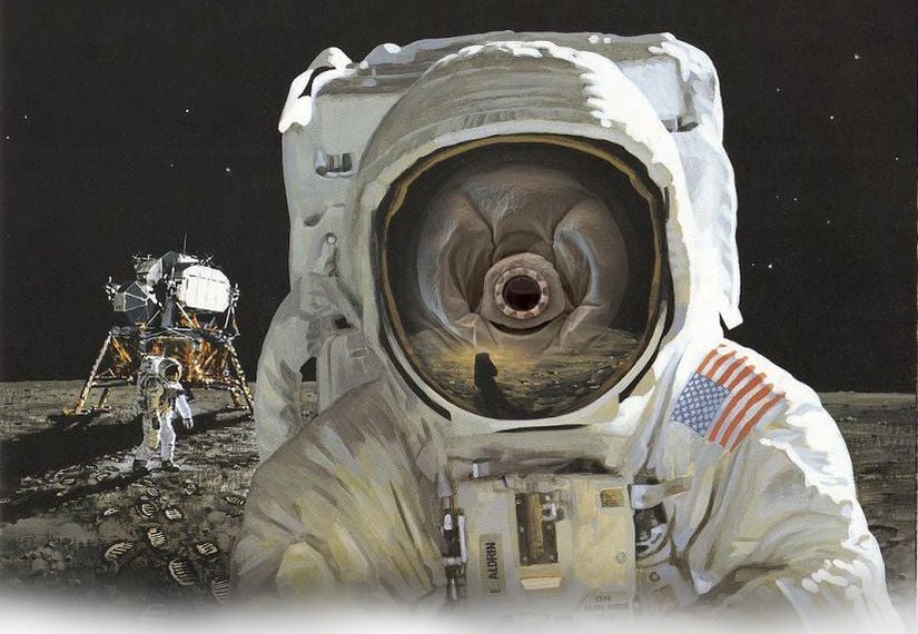 Neil Armstrong yerine büyütülmüş bir su ayısı ile resmedilmiş bir illüstrasyon.