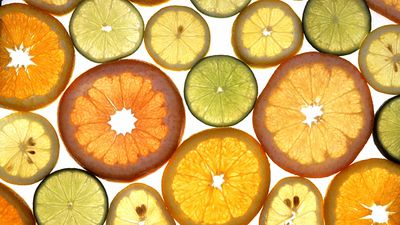 Limon, Portakal, Mandalina ve Diğer Turunçgiller Nasıl Evrimleşti?