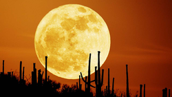 Ay Neden Kırmızı Görünür? Kanlı Ay Tutulması Nedir?