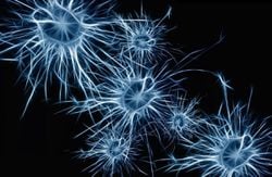 Sinirbilim ve Beyin - 4: Nöronlar Nasıl Çalışır, Tipleri Nelerdir, Sinirsel İletim Nasıl Sağlanır?