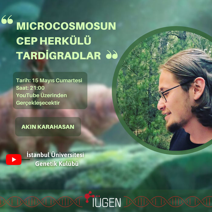 Microcosmosun Cep Herkülü Tardigradlar