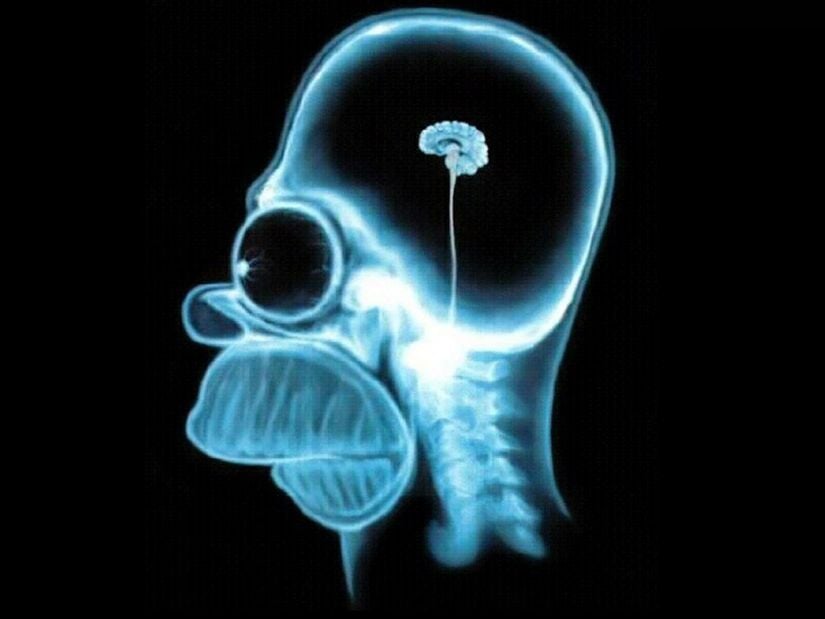 Homer Simpson ve Beyni