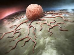 Kanser hücrelerini ölümsüzlük için kullanabilir miyiz?