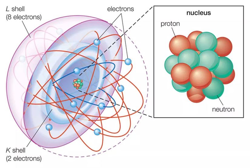 Kabuk atom modelinde, elektronlar farklı enerji seviyelerini (kabukları) işgal ederler. Burada, bir neon atomundaki K ve L kabukları gösterilmektedir.