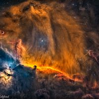  A Lion in Orion 