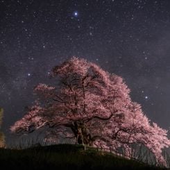  Summer Triangles over Japan 