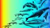 Balina ve Yunusların Evrimi: Karadan Denize Evrimsel Bir Destan ve Balinaların Kol ve Bacak Kemiklerinin Evrimi...
