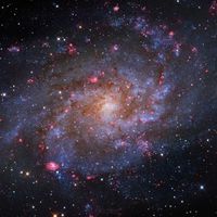  M33: The Triangulum Galaxy 