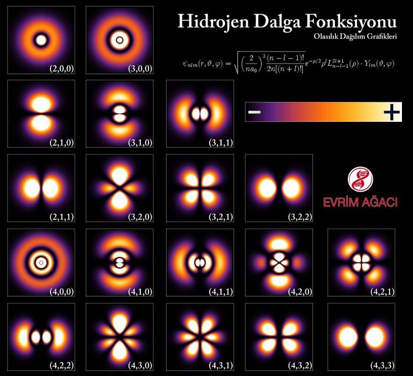 Görselde bir Hidrojen atomunun etrafındaki elektron dağılımı olasılıkları görülmektedir. Görselde daha kırmızı olan alanlar, bir elektronun bulunma ihtimalinin daha yüksek olduğu bölgelerdir. Bu olasılık dağılımları, Schrödinger'in Denklemi'nin çözümü sayesinde tespit edilebilmektedir.