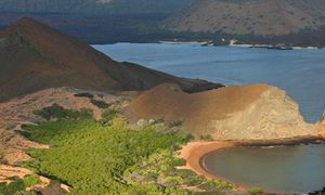 Galápagos Islands Struggle Against Climate Change And Invasive Species Threats