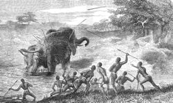 Tarih Öncesi Canavarların Diyarı: Senozoik Çağ