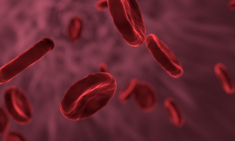Kırmızı Kan Hücreleri