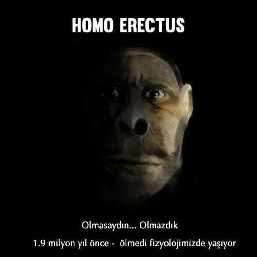 Bir tür olarak var olabilmemizin tek nedeni olan atalarımızdan Homo erectus'a eğlenceli bir bakış... Görseli sayfamıza gönderen okurumuz Sn. Ferdi Aktaç'a teşekkür ederiz.