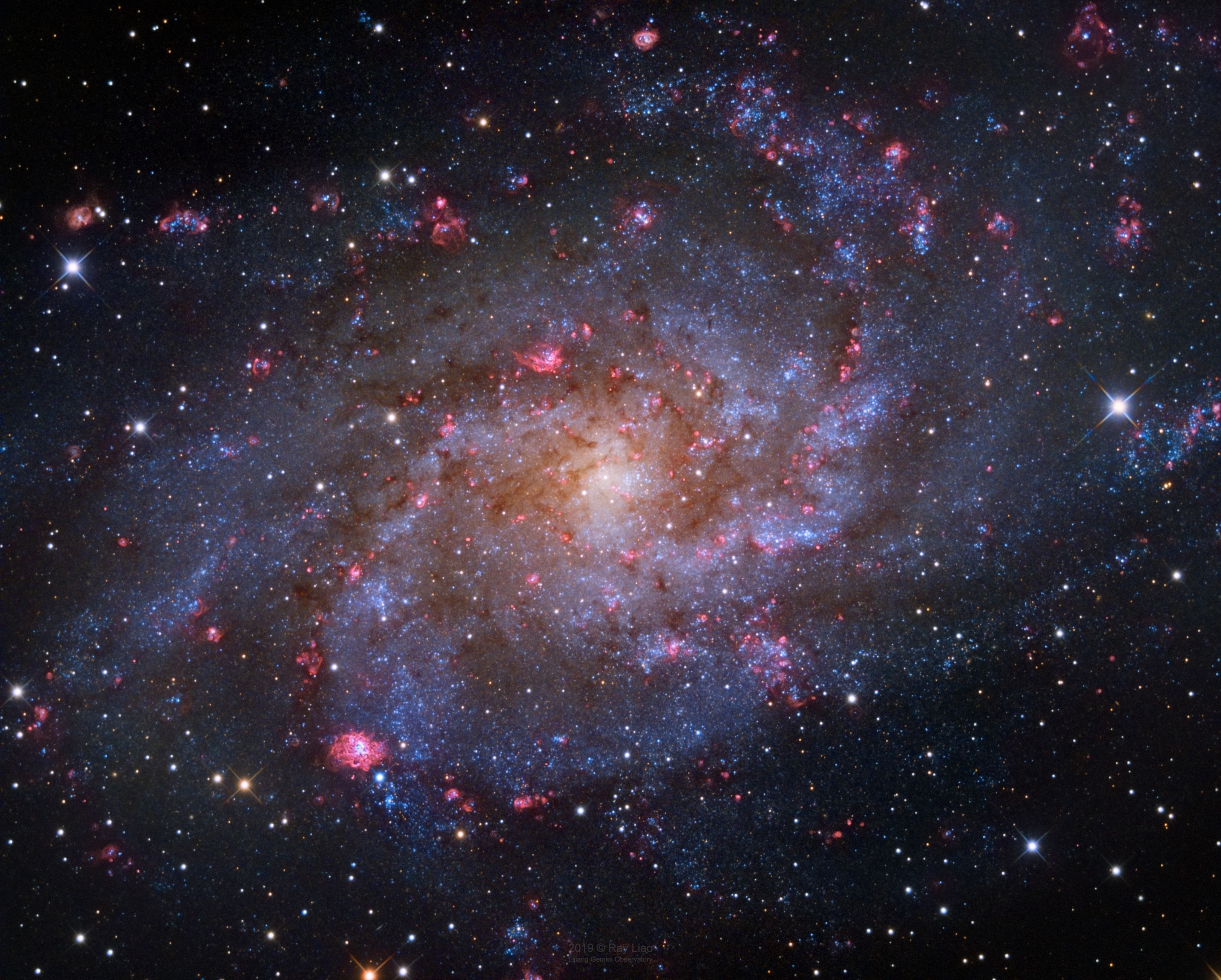  M33: The Triangulum Galaxy 