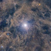  North Star: Polaris and Surrounding Dust 