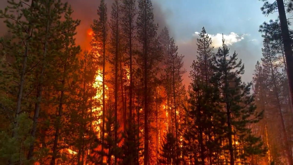 Oregon Wildfires Burn More Than 1.4 Million Acres