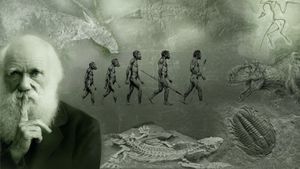Darwin'in Evrim Üzerine 16.000 Sayfalık Çalışmalarına Ücretsiz Olarak Erişebilirsiniz!