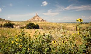 Nebraska Governor Halts Proposal To Change Electoral Vote Distribution