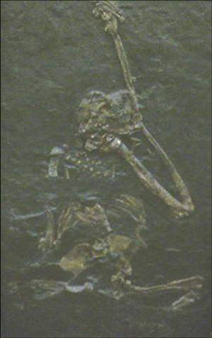 Oreopithecus (Fosil)