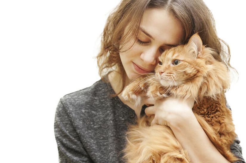 Kedilere olan aşırı sevgimiz bir parazitin manipülasyonundan mı kaynaklanıyor?