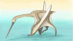 Su Altında Avlanabilen Pterozor Türleri: Paleontolojik Bir İnceleme