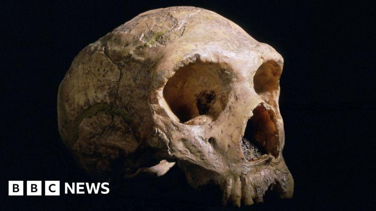 Neanderthals Show Intelligent Survival Skills Through New Study