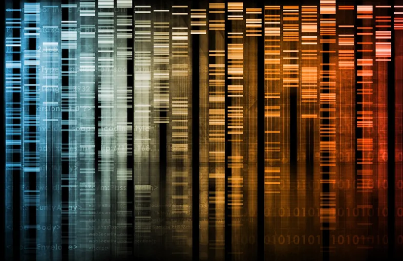 DNA dizilimi.