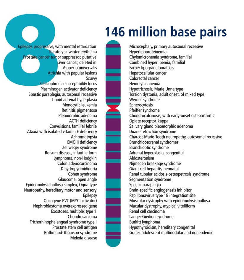 İnsanlar normalde her hücrede 23 çifte bölünmüş 46 kromozoma sahiptir. Her bir ebeveynden miras alınan bir kopya olan iki kromozom 8 kopyası, çiftlerden birini oluşturur. Kromozom 8, 146 milyondan fazla DNA yapı taşını (baz çiftleri) kapsar ve hücrelerdeki toplam DNA'nın yüzde 4,5 ila 5'ini temsil eder.