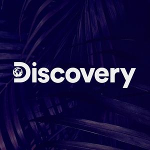 Discovery