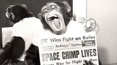 Uzaydaki İlk Maymun: Ham