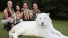 Beyaz "Kaslan": Dünya'nın İlk Beyaz Aslan ve Beyaz Kaplan Melezi!