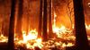 Akdeniz Tipi Bölgelerde Çıkan Orman Yangınlarına Yönelik Yönetim Anlayışında Paradigma Değişimi Şart!
