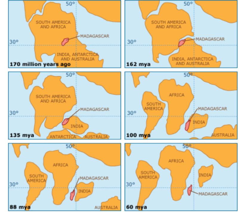 Gondvana süperkıtasının parçalanması ardından, yaklaşık 170 milyon yıl önce Afrika kıtası ve yaklaşık 88 milyon yıl önce de Hindistan yarımadası ayrılmıştır. Madagaskar, Hindistan yarımadasından koparak bugünkü ada konumunu almıştır.