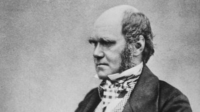 Charles Darwin, Evrimin Yaratıcı Kontrolünde Olması Gerektiğini Söyledi mi?