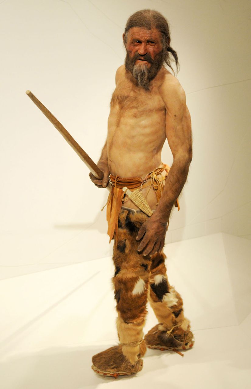 Tyrol'lu buz adam Ötzi'nin analizine dayanarak oluşturulan maket. İtalya'daki Güney Tirol Arkeoloji Müzesi'nde sergileniyor.
