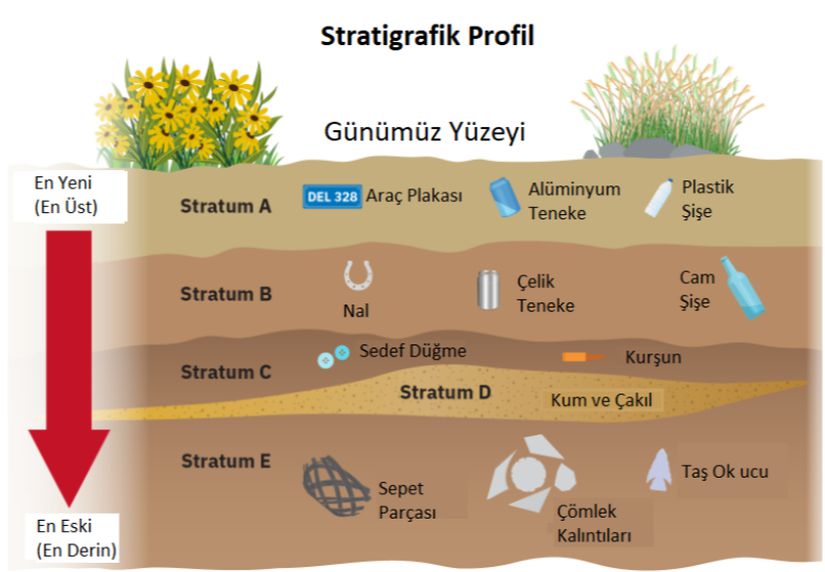 Süperpozisyon ilkesine göre daha derin katmanlarda (stratum) bulunan nesneler, daha üst katmanlarda bulunan nesnelerden daha eskidir. Bu görselde Stratum E'de yer alan çömlek kalıntılarının Stratum C'de bulunan sedef düğmelerden daha eski olduğu varsayılabilir. Yüzeye en yakın nesneler (alüminyum teneke, plastik şişe) doğal olarak en yeni nesnelerdir.