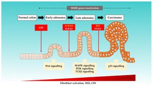 Unraveling The Mystery Of MOXD1: A Key To Combatting Neuroblastoma In Children