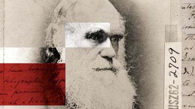 Darwin, Kendi Teorisine Güveniyor muydu? Yoksa Fantezi Peşinde Koştuğuna mı İnanıyordu?