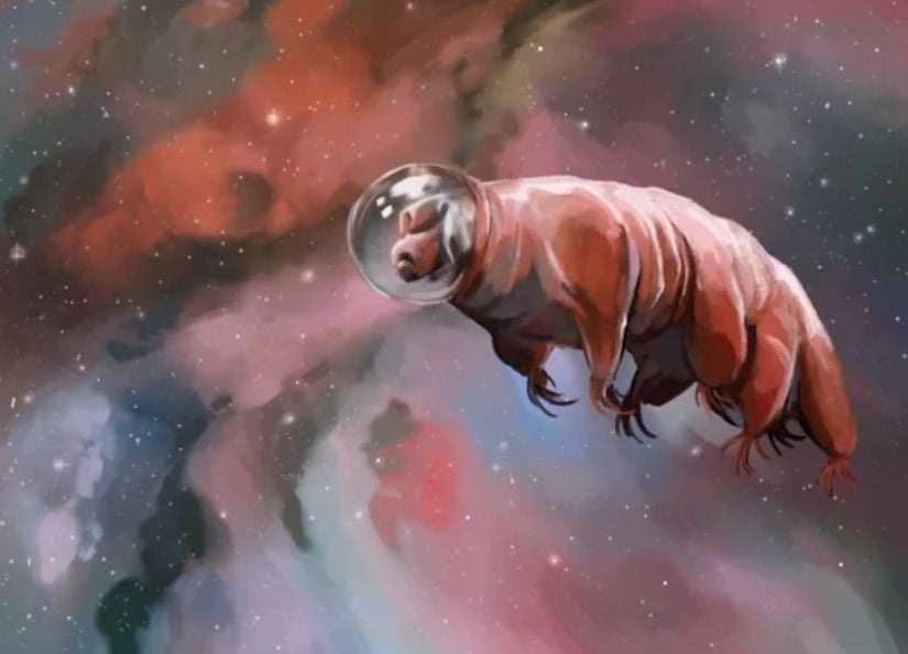 Vakum uzaydaki tardigradı resmeden bir çizim.