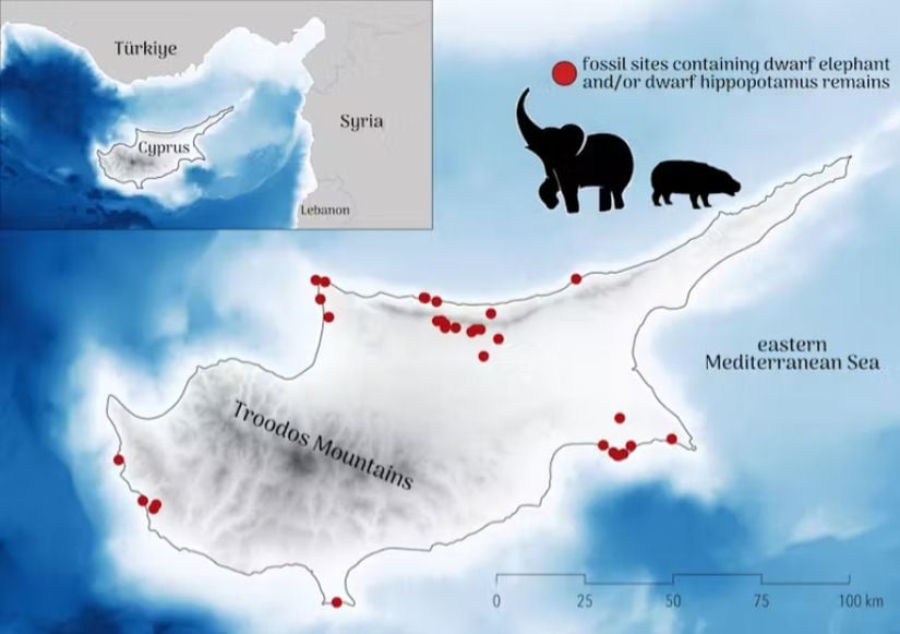 CJA Bradshaw/Flinders Üniversitesi tarafından oluşturulan ve cüce fil ile hipopotam fosillerinin çıkarıldığı yaklaşık fosil bölgelerini gösteren Kıbrıs haritası.