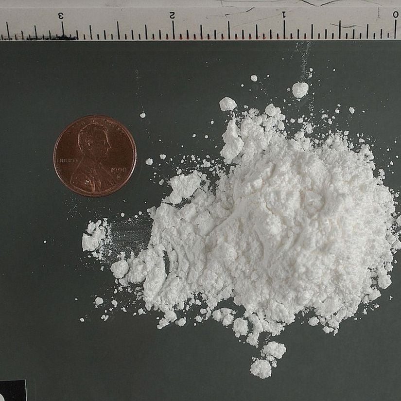 DEA tarafından ele geçirilmiş bir miktar kokain tozu