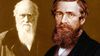 Bir "İnsanlık" Hikayesi: Darwin'in İnsani Büyüklüğü ve Wallace'ın Mütevazılığı