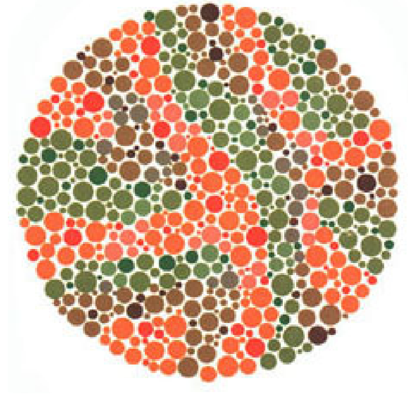 Plaka 21: Normal görüşlüler hiçbir sayı görmezler, kırmızı-yeşil renk körleri 73 görürler.