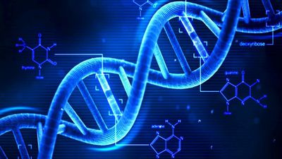 XNA: Laboratuvarda Üretilen Yapay/Sentetik DNA Molekülleri ve Yapay Canlılara Adım Adım...
