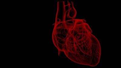 Kırık Kalp Sendromu (Takutsobo Kardiyomiyopatisi)