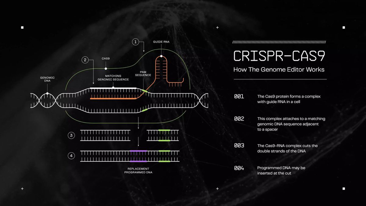 Synthetic Genomics: Writing The Next Chapter Of Evolution